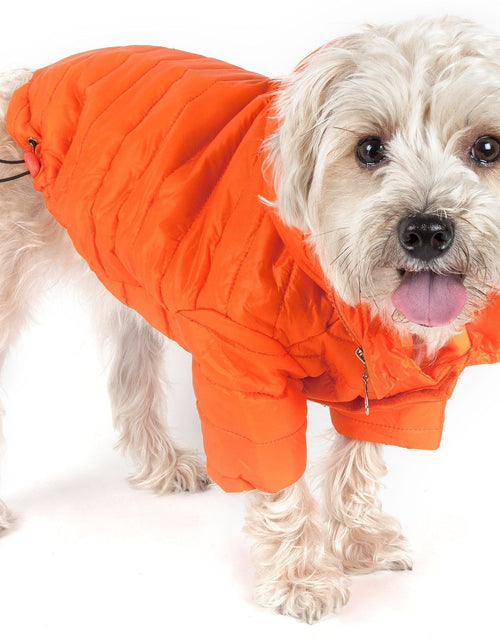 Load image into Gallery viewer, Pet Life ® Lightweight Adjustable and Collapsible 'Sporty Avalanche' Dog Coat w/ Pop-out Zippered Hood
