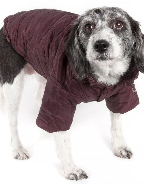 Load image into Gallery viewer, Pet Life ® Lightweight Adjustable and Collapsible 'Sporty Avalanche' Dog Coat w/ Pop-out Zippered Hood
