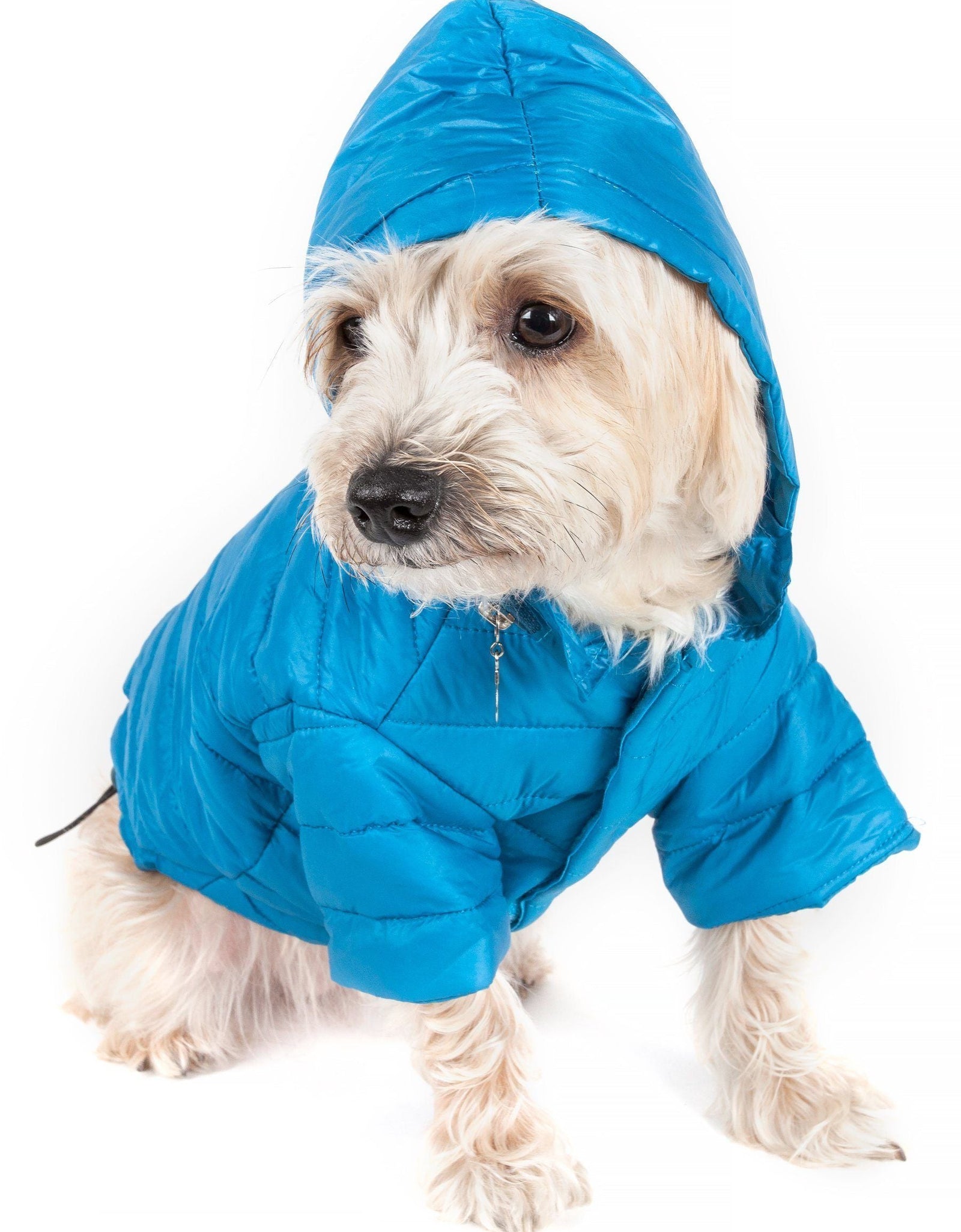 Pet Life ® Lightweight Adjustable and Collapsible 'Sporty Avalanche' Dog Coat w/ Pop-out Zippered Hood