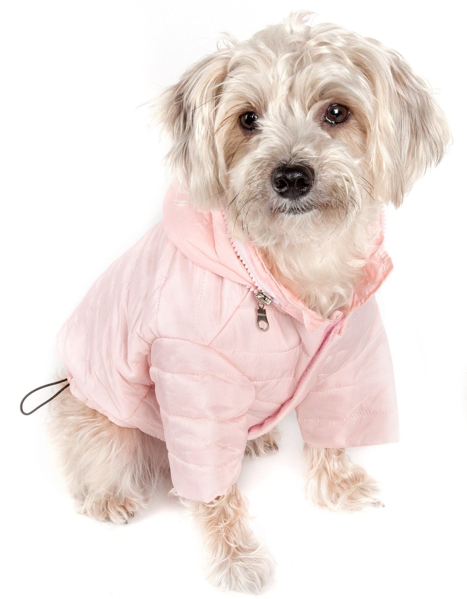 Pet Life ® Lightweight Adjustable and Collapsible 'Sporty Avalanche' Dog Coat w/ Pop-out Zippered Hood