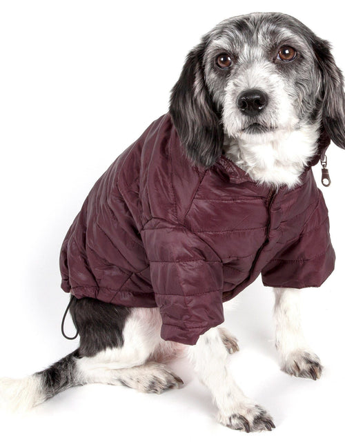 Load image into Gallery viewer, Pet Life ® Lightweight Adjustable and Collapsible 'Sporty Avalanche' Dog Coat w/ Pop-out Zippered Hood
