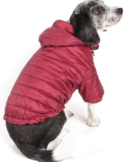 Load image into Gallery viewer, Pet Life ® Lightweight Adjustable and Collapsible 'Sporty Avalanche' Dog Coat w/ Pop-out Zippered Hood
