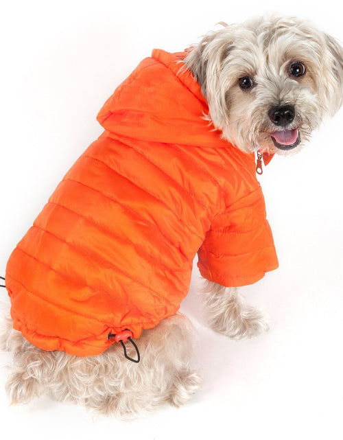 Load image into Gallery viewer, Pet Life ® Lightweight Adjustable and Collapsible 'Sporty Avalanche' Dog Coat w/ Pop-out Zippered Hood
