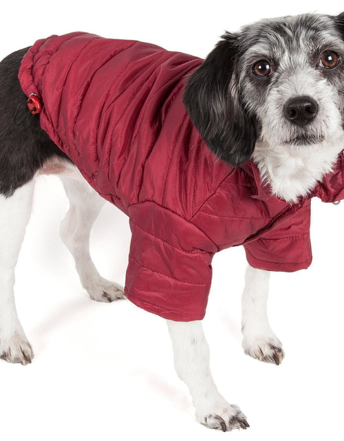 Load image into Gallery viewer, Pet Life ® Lightweight Adjustable and Collapsible 'Sporty Avalanche' Dog Coat w/ Pop-out Zippered Hood
