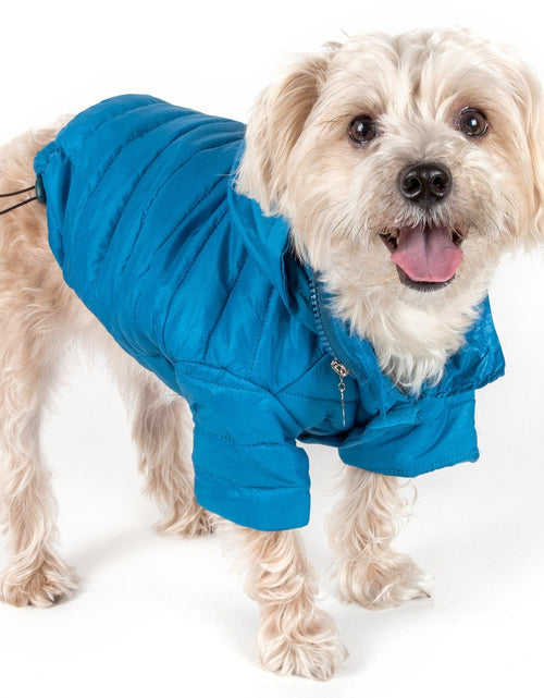 Load image into Gallery viewer, Pet Life ® Lightweight Adjustable and Collapsible 'Sporty Avalanche' Dog Coat w/ Pop-out Zippered Hood
