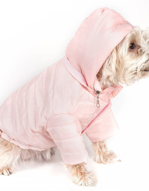 Load image into Gallery viewer, Pet Life ® Lightweight Adjustable and Collapsible 'Sporty Avalanche' Dog Coat w/ Pop-out Zippered Hood
