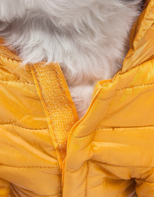 Load image into Gallery viewer, Pet Life ® Lightweight Adjustable and Collapsible 'Sporty Avalanche' Dog Coat w/ Pop-out Zippered Hood

