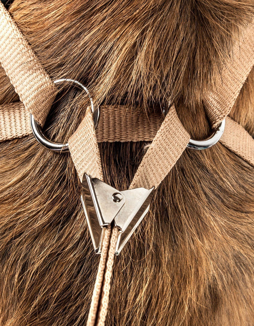 Load image into Gallery viewer, Pet Life ® Luxe 'Dapperbone' 2-In-1 Adjustable Fashion Dog Harness and Leash
