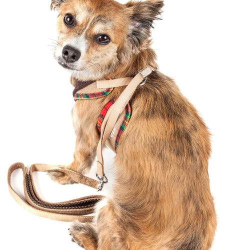 Pet Life ® Luxe 'Dapperbone' 2-In-1 Adjustable Fashion Dog Harness and Leash