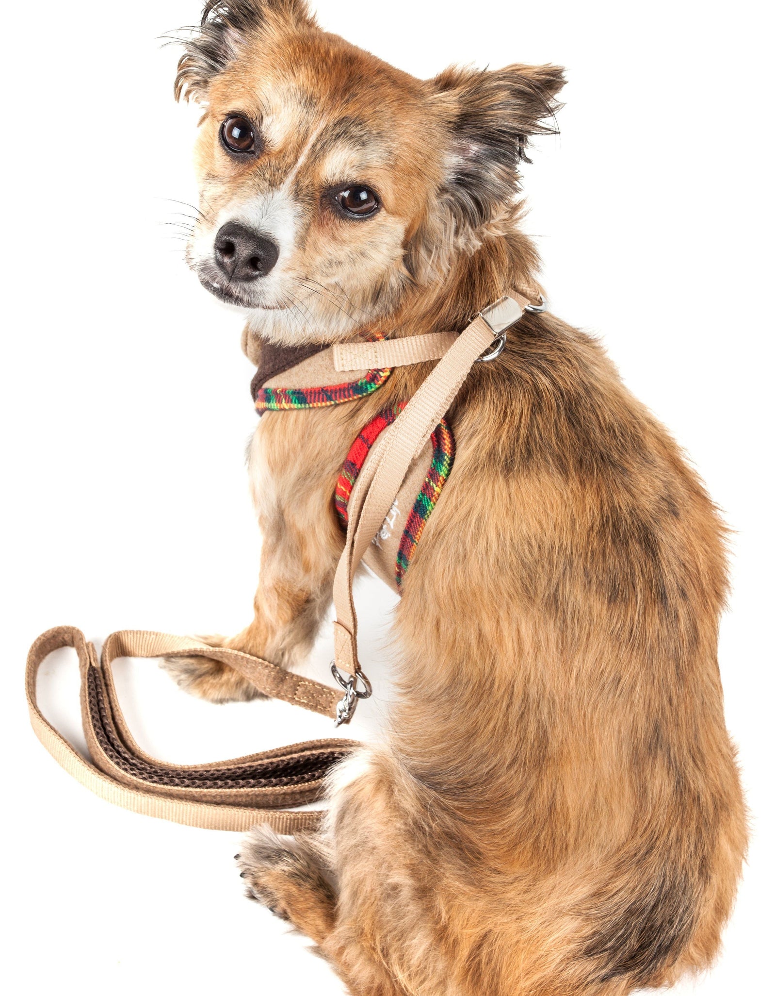 Pet Life ® Luxe 'Dapperbone' 2-In-1 Adjustable Fashion Dog Harness and Leash