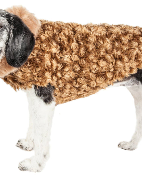 Load image into Gallery viewer, Pet Life ® Luxe 'Furpaw' Shaggy Elegant Fashion Designer Fur Dog Coat
