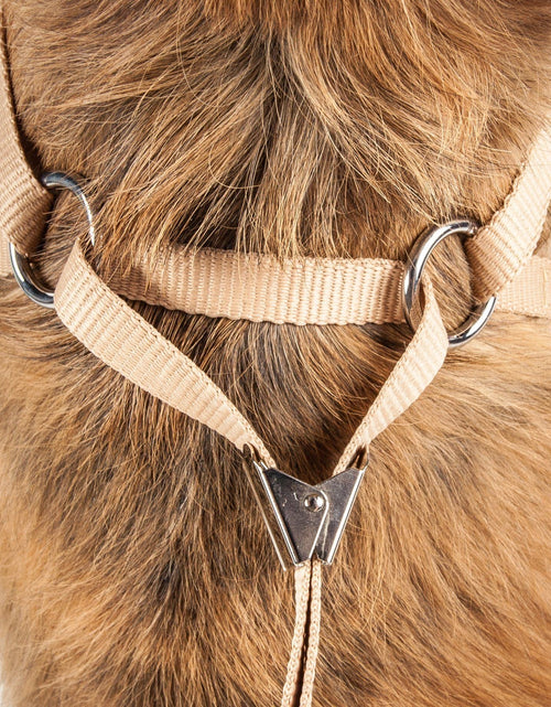 Load image into Gallery viewer, Pet Life ® Luxe 'Furracious' 2-In-1 Adjustable Dog Harness and Leash with Detachable Fur Collar
