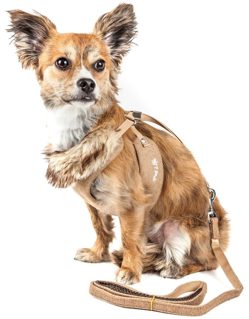 Load image into Gallery viewer, Pet Life ® Luxe 'Furracious' 2-In-1 Adjustable Dog Harness and Leash with Detachable Fur Collar

