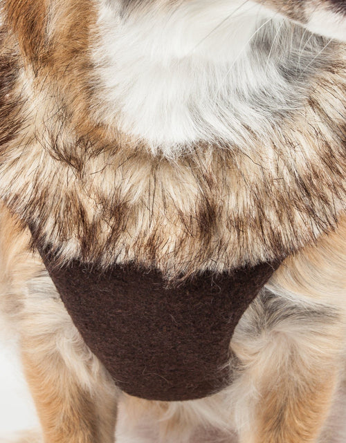 Load image into Gallery viewer, Pet Life ® Luxe 'Furracious' 2-In-1 Adjustable Dog Harness and Leash with Detachable Fur Collar
