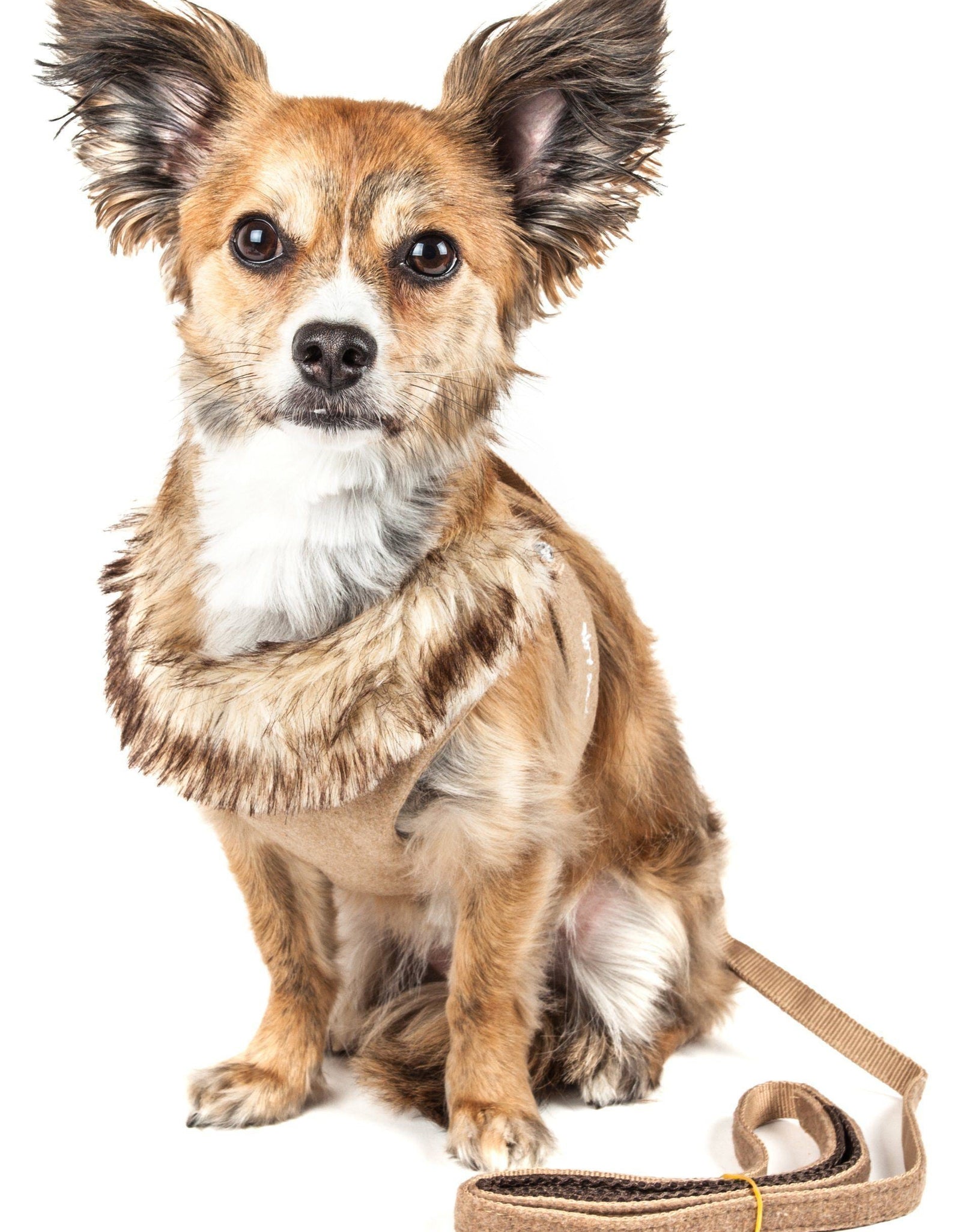 Pet Life ® Luxe 'Furracious' 2-In-1 Adjustable Dog Harness and Leash with Detachable Fur Collar