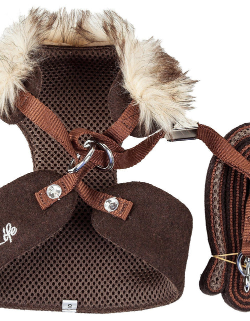 Load image into Gallery viewer, Pet Life ® Luxe 'Furracious' 2-In-1 Adjustable Dog Harness and Leash with Detachable Fur Collar
