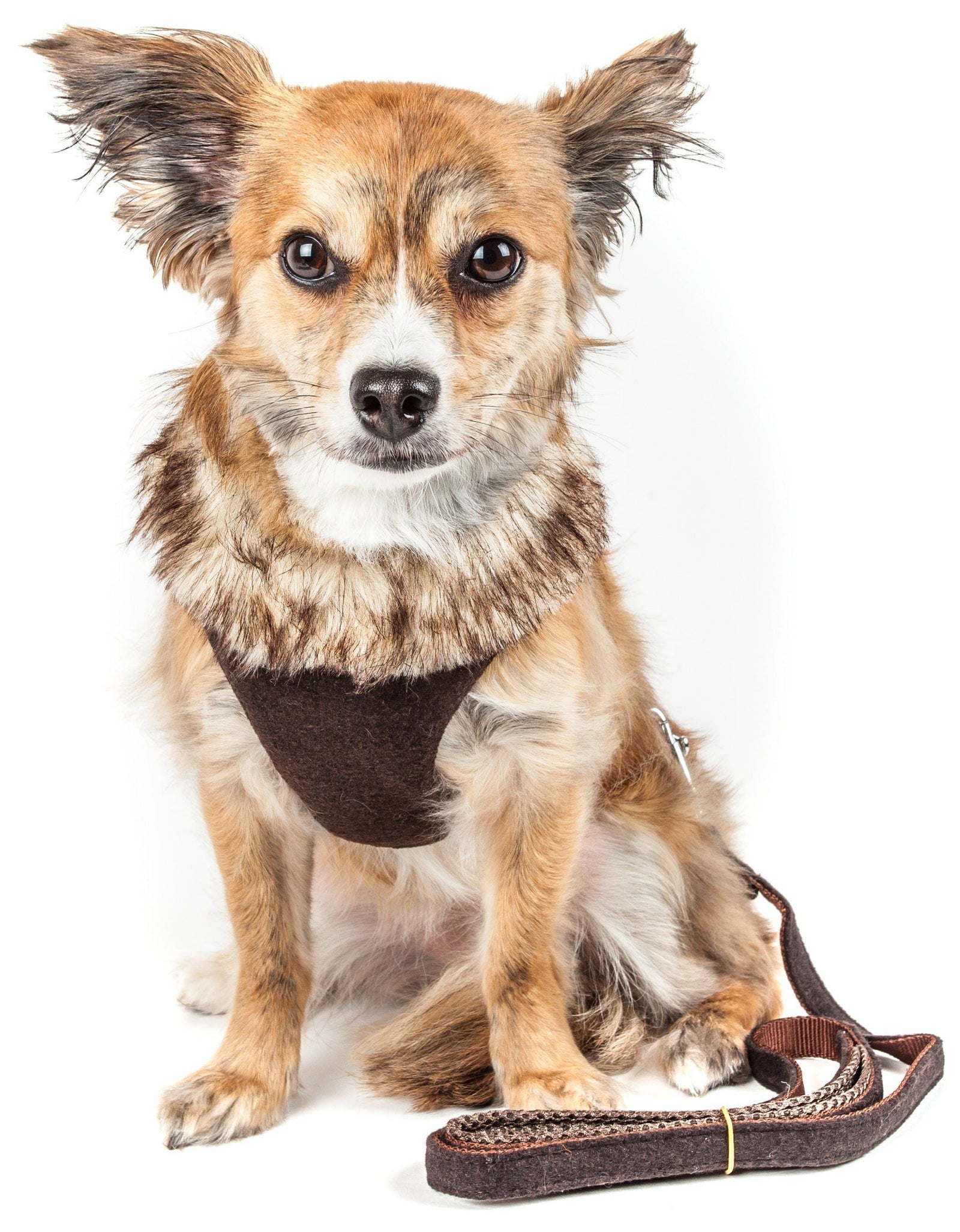 Pet Life ® Luxe 'Furracious' 2-In-1 Adjustable Dog Harness and Leash with Detachable Fur Collar