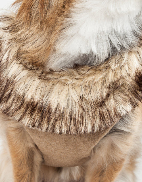 Load image into Gallery viewer, Pet Life ® Luxe 'Furracious' 2-In-1 Adjustable Dog Harness and Leash with Detachable Fur Collar
