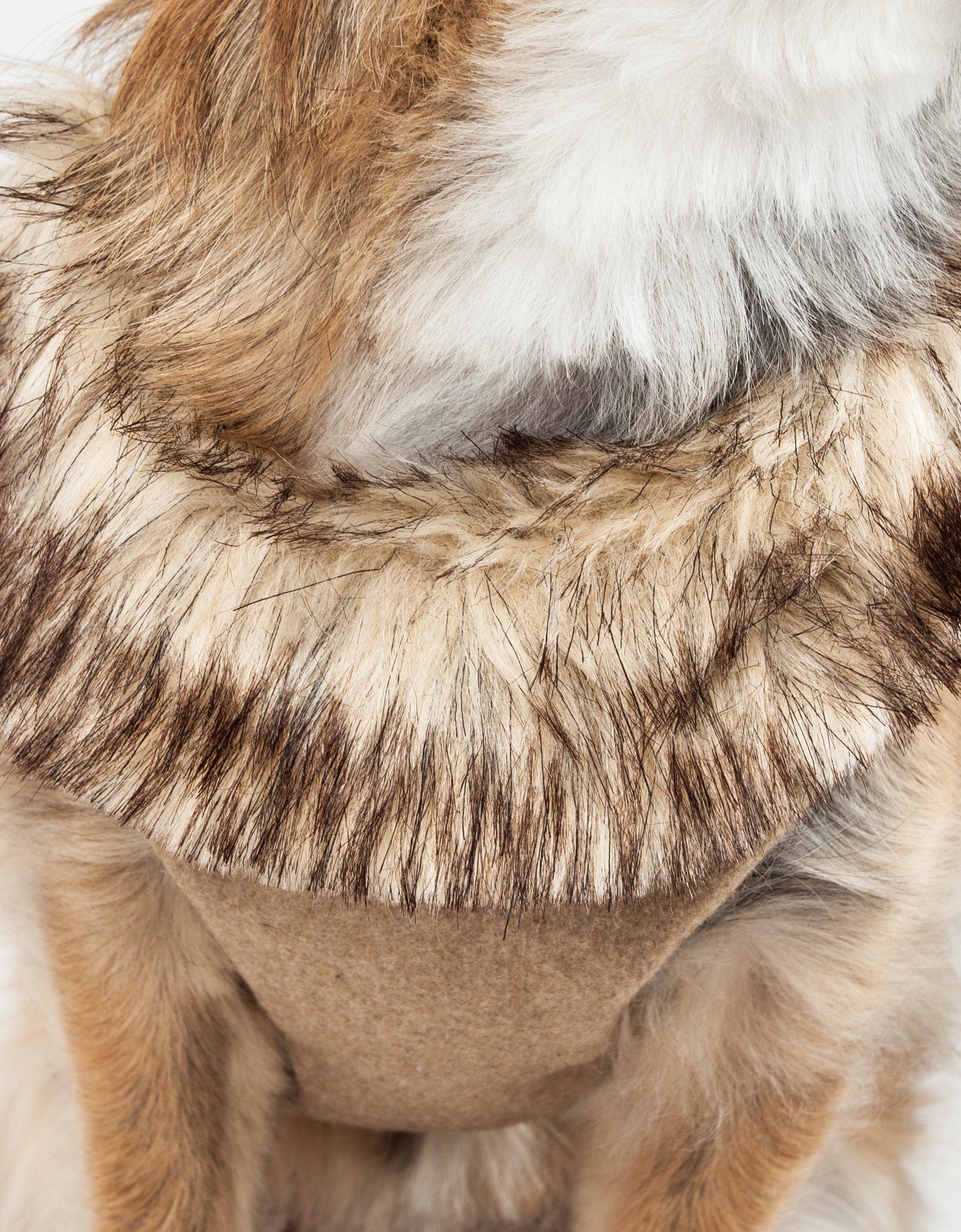 Pet Life ® Luxe 'Furracious' 2-In-1 Adjustable Dog Harness and Leash with Detachable Fur Collar
