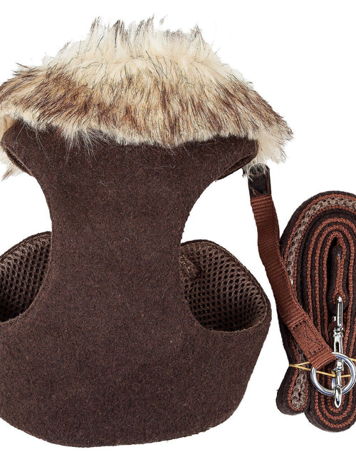 Load image into Gallery viewer, Pet Life ® Luxe 'Furracious' 2-In-1 Adjustable Dog Harness and Leash with Detachable Fur Collar
