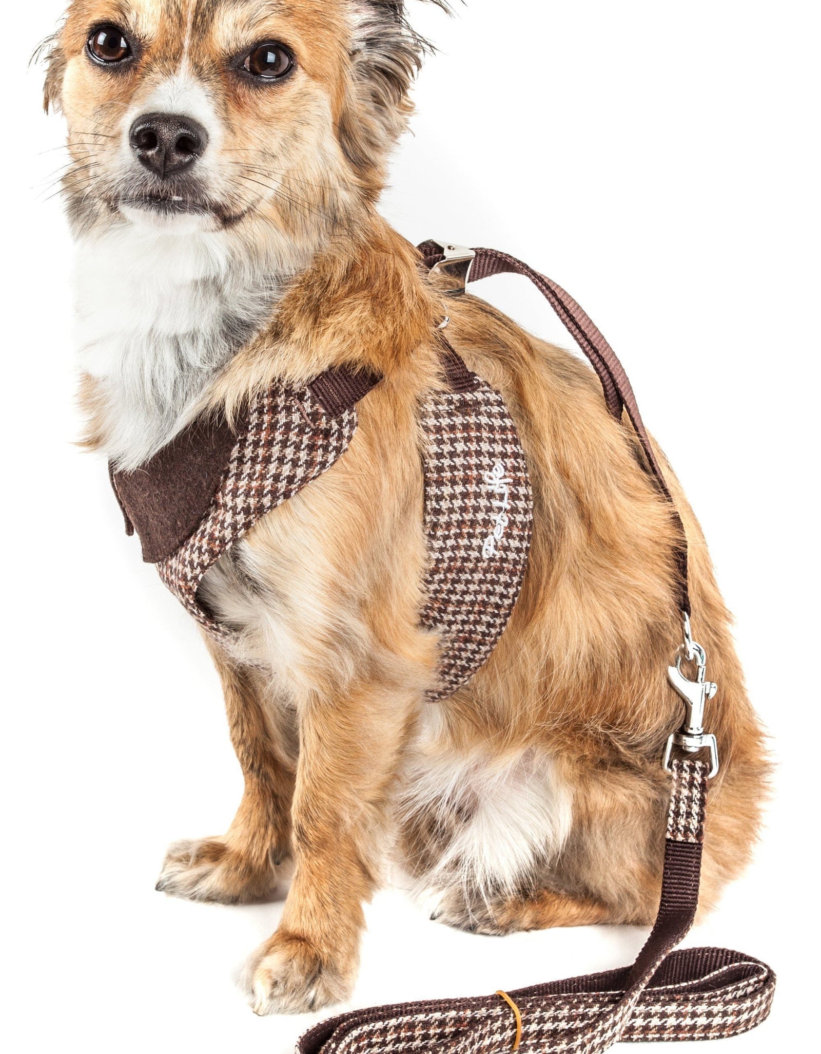 Pet Life ®  Luxe 'Houndsome' 2-In-1 Adjustable Designer Dog Harness and Leash