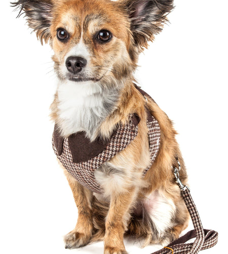 Pet Life ®  Luxe 'Houndsome' 2-In-1 Adjustable Designer Dog Harness and Leash