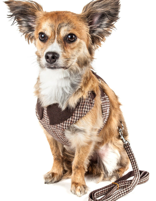 Load image into Gallery viewer, Pet Life ®  Luxe 'Houndsome' 2-In-1 Adjustable Designer Dog Harness and Leash
