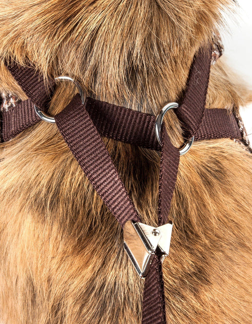 Load image into Gallery viewer, Pet Life ®  Luxe 'Houndsome' 2-In-1 Adjustable Designer Dog Harness and Leash
