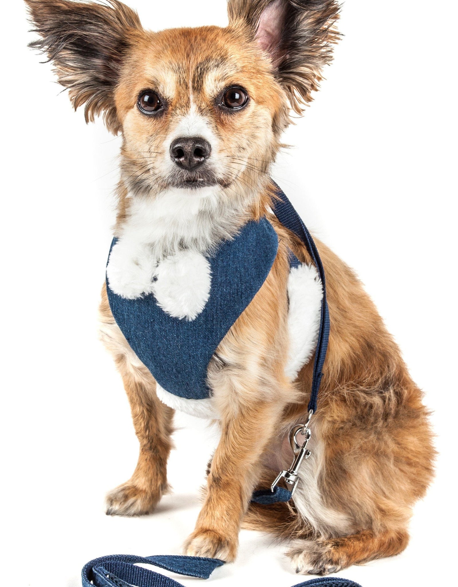 Pet Life ® Luxe 'Pom Draper' 2-In-1 Adjustable Fashion Dog Harness and Leash