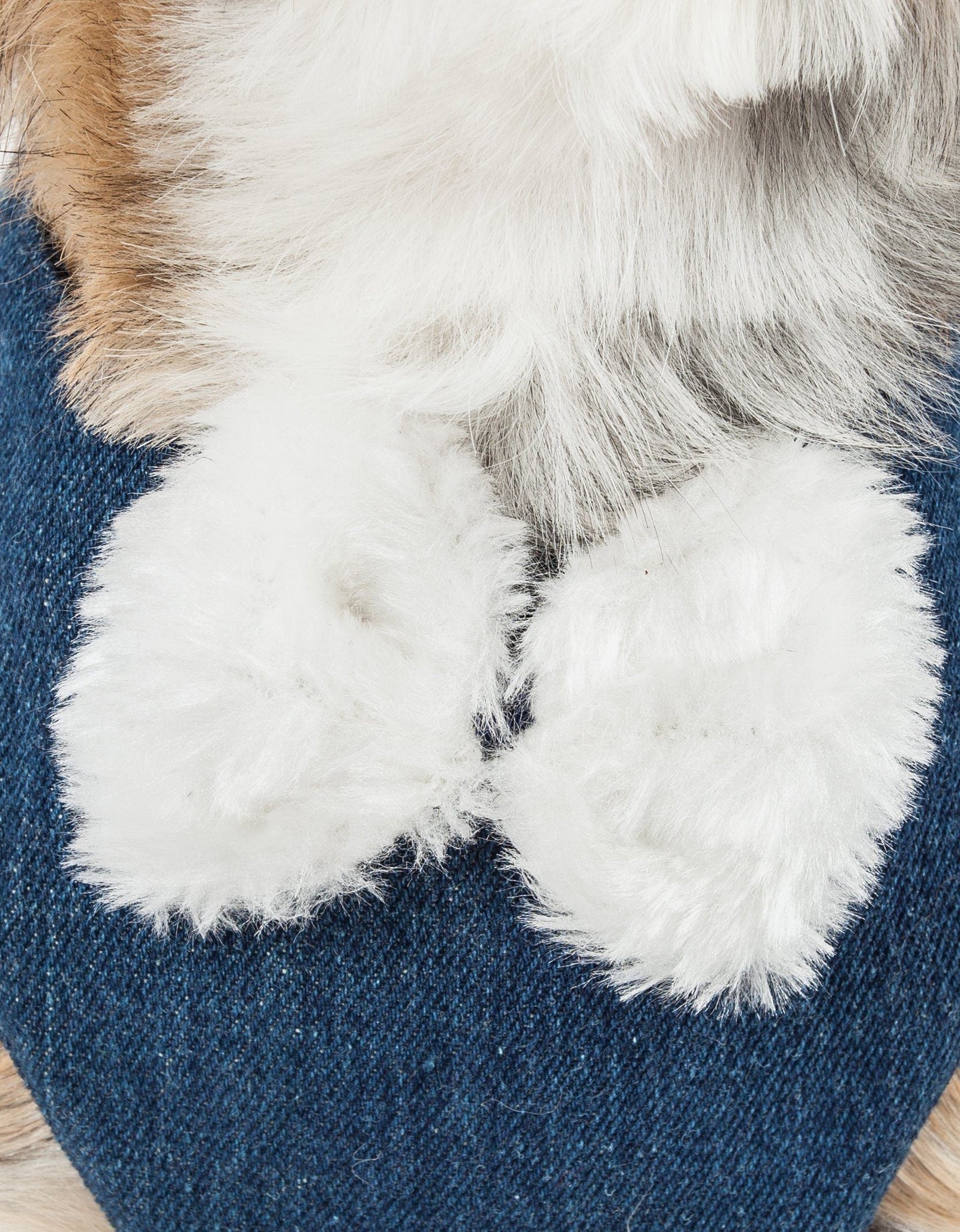Pet Life ® Luxe 'Pom Draper' 2-In-1 Adjustable Fashion Dog Harness and Leash