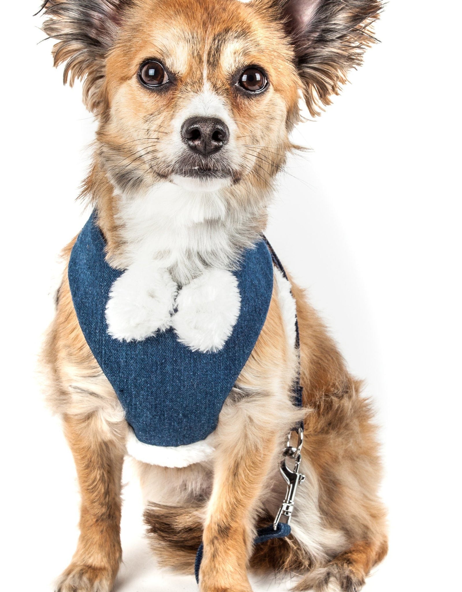 Pet Life ® Luxe 'Pom Draper' 2-In-1 Adjustable Fashion Dog Harness and Leash