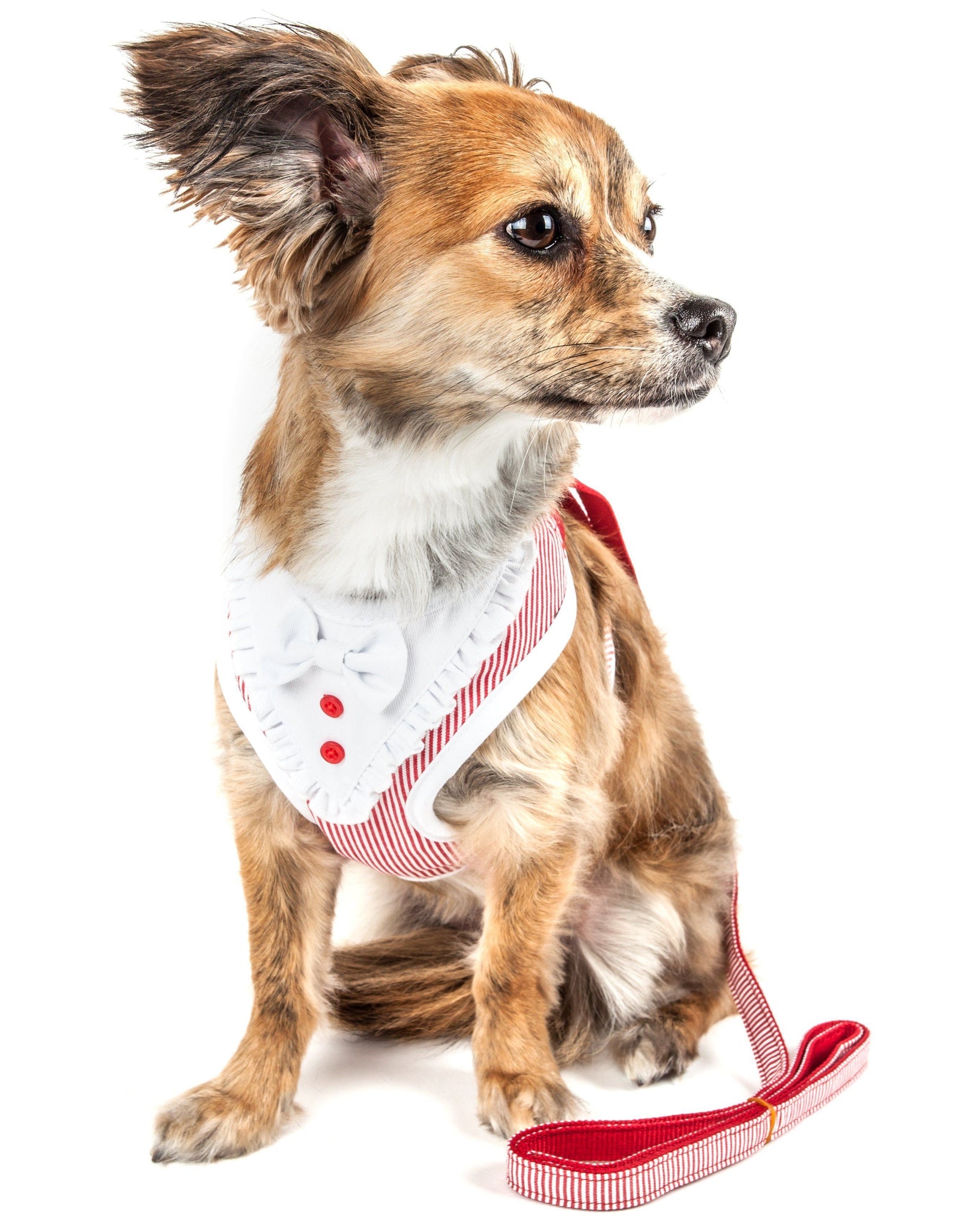 Pet Life ® Luxe 'Spawling' 2-In-1 Adjustable Fashion Dog Harness and Leash