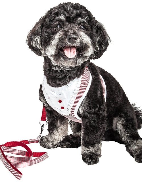 Load image into Gallery viewer, Pet Life ® Luxe 'Spawling' 2-In-1 Adjustable Fashion Dog Harness and Leash
