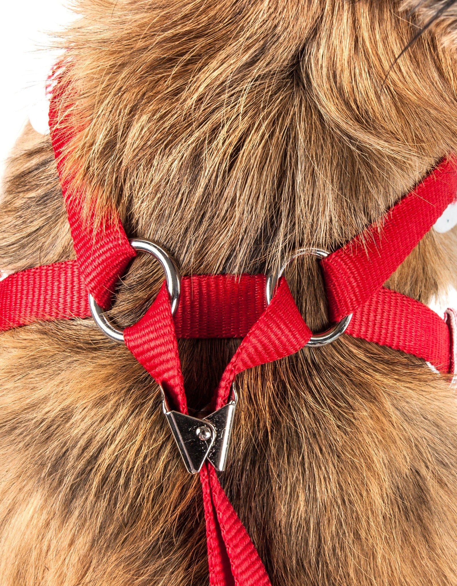 Pet Life ® Luxe 'Spawling' 2-In-1 Adjustable Fashion Dog Harness and Leash