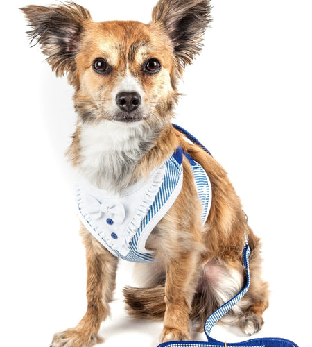 Pet Life ® Luxe 'Spawling' 2-In-1 Adjustable Fashion Dog Harness and Leash