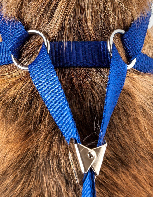 Load image into Gallery viewer, Pet Life ® Luxe 'Spawling' 2-In-1 Adjustable Fashion Dog Harness and Leash

