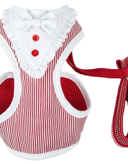 Load image into Gallery viewer, Pet Life ® Luxe 'Spawling' 2-In-1 Adjustable Fashion Dog Harness and Leash
