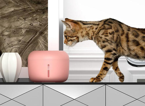Load image into Gallery viewer, Pet Life ® 'Moda-Pure' Ultra-Quite Filtered Dog and Cat Fountain Waterer

