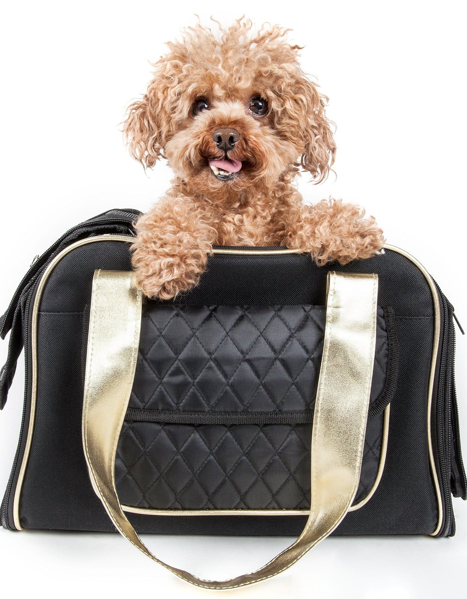 Pet Life ® Mystique Airline Approved Fashion Designer Travel Pet Dog Carrier w/ Pouch