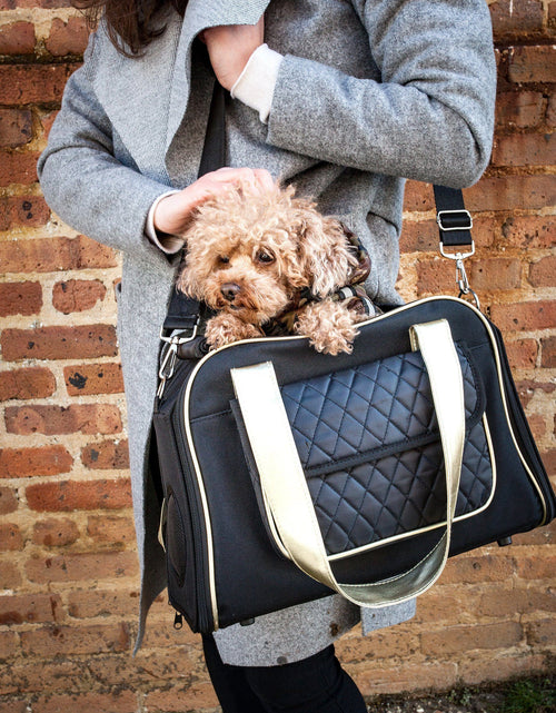 Load image into Gallery viewer, Pet Life ® Mystique Airline Approved Fashion Designer Travel Pet Dog Carrier w/ Pouch
