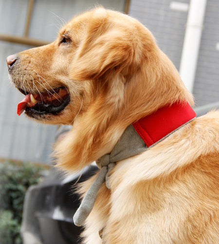 Pet Life ® 'Neo-Breeze' Insertable and Adjustable Cooling Dog Neck Wrap