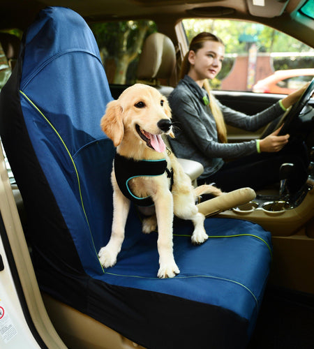 Pet Life ® 'Open Road' Single Seated Safety Child Pet Cat Dog Car Seat Carseat Cover Protector