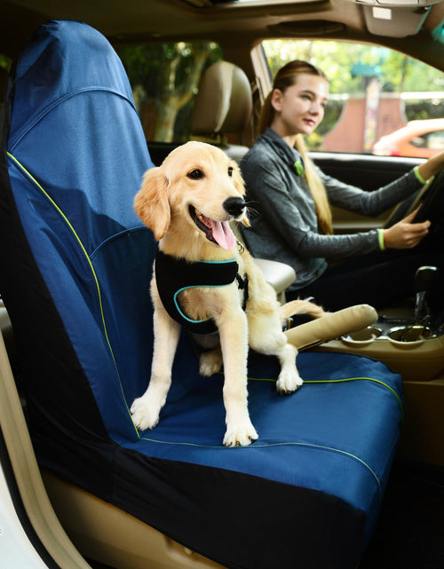 Load image into Gallery viewer, Pet Life ® 'Open Road' Single Seated Safety Child Pet Cat Dog Car Seat Carseat Cover Protector
