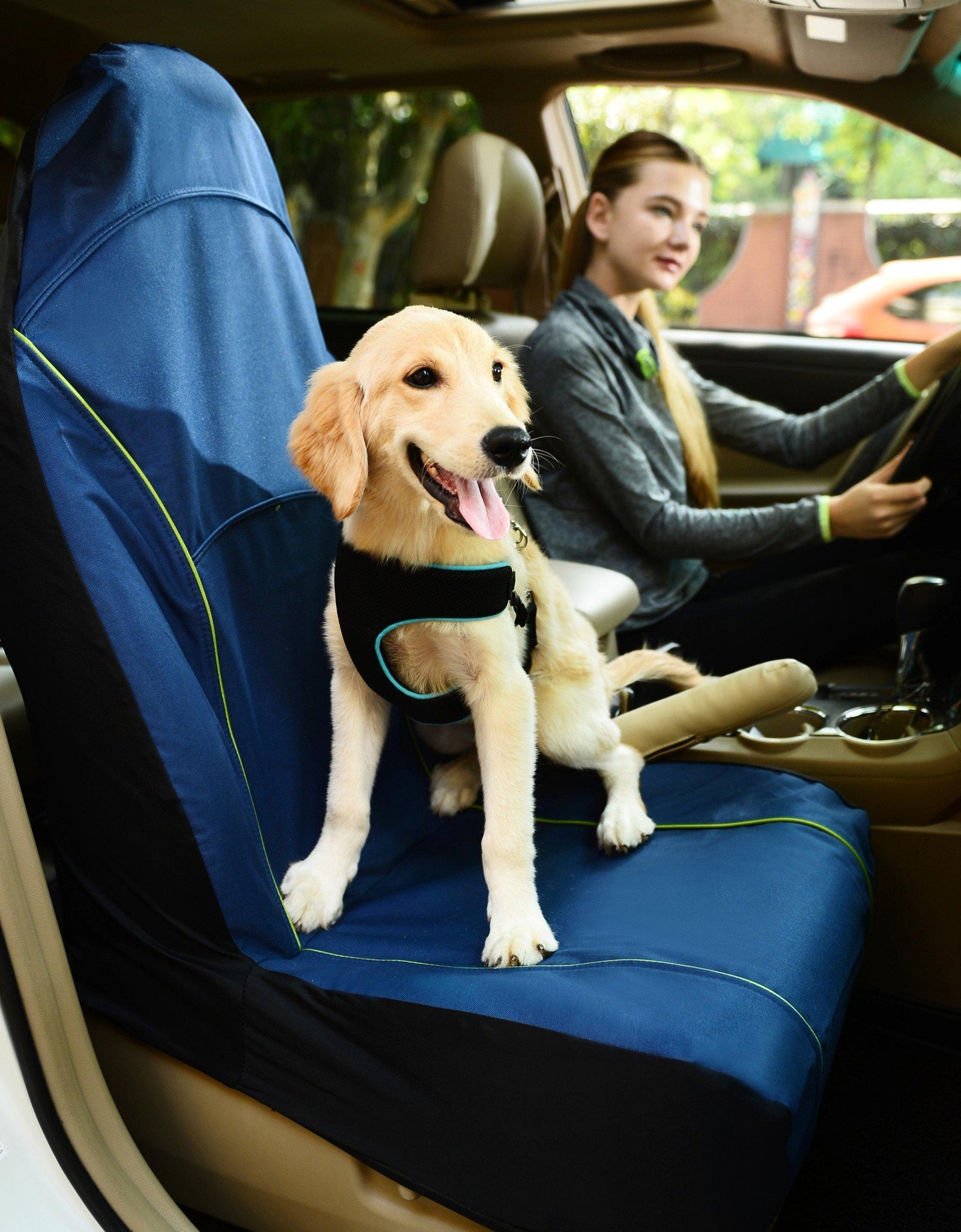 Pet Life ® 'Open Road' Single Seated Safety Child Pet Cat Dog Car Seat Carseat Cover Protector