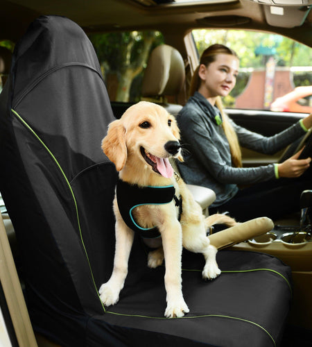 Pet Life ® 'Open Road' Single Seated Safety Child Pet Cat Dog Car Seat Carseat Cover Protector