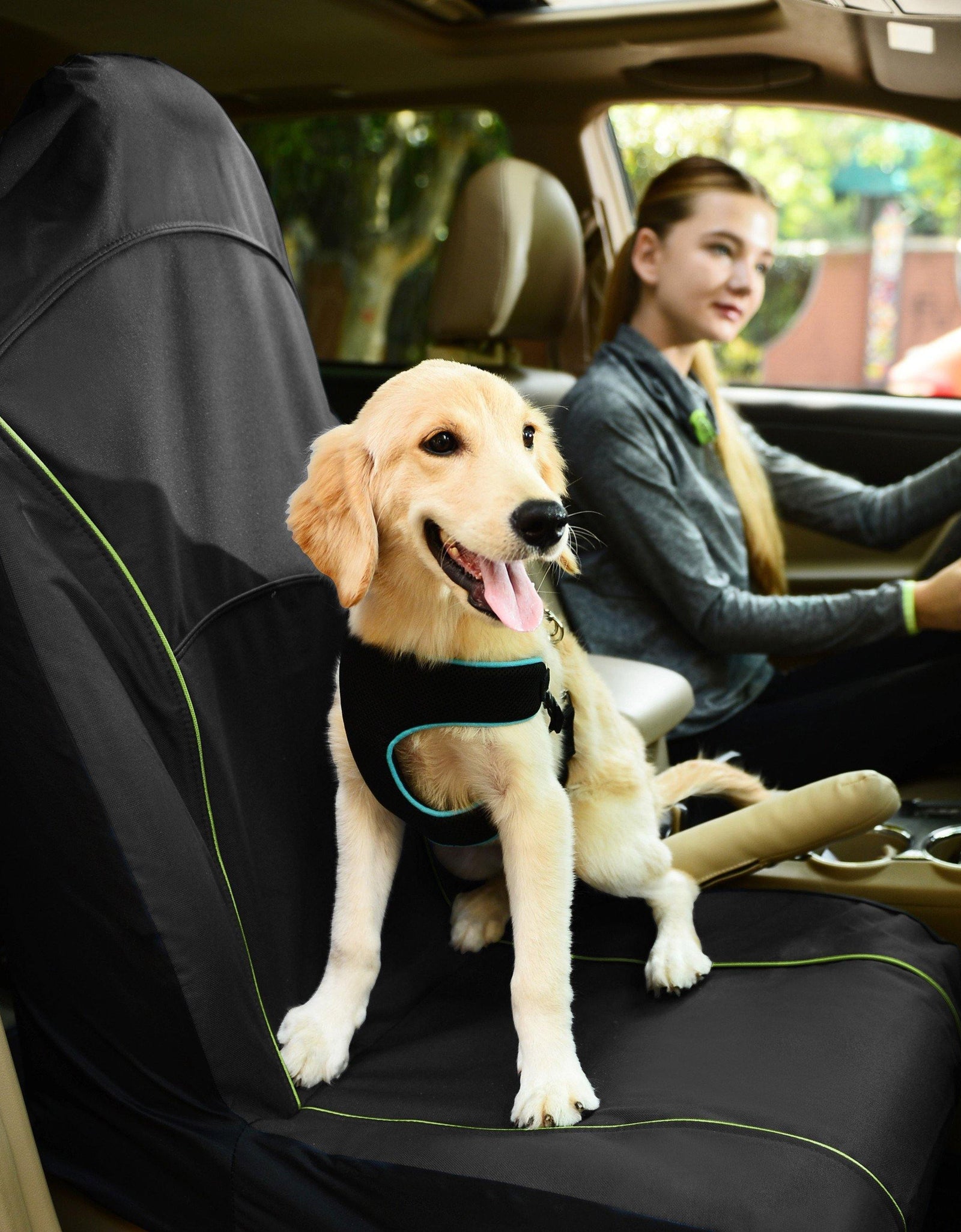 Pet Life ® 'Open Road' Single Seated Safety Child Pet Cat Dog Car Seat Carseat Cover Protector