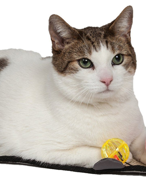 Load image into Gallery viewer, Pet Life ® 'Paw-Pleasant' Hanging Sisal &amp; Jute Carpet Kitty Cat Scratcher with Toy
