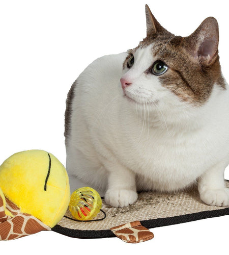 Pet Life ® 'Paw-Pleasant' Hanging Sisal & Jute Carpet Kitty Cat Scratcher with Toy