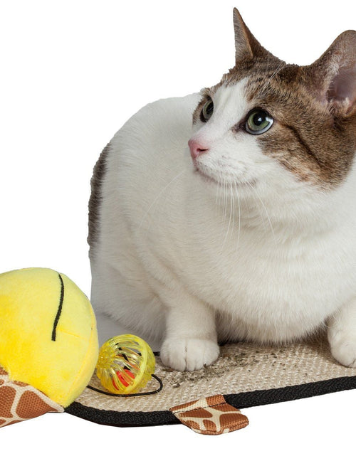Load image into Gallery viewer, Pet Life ® 'Paw-Pleasant' Hanging Sisal &amp; Jute Carpet Kitty Cat Scratcher with Toy
