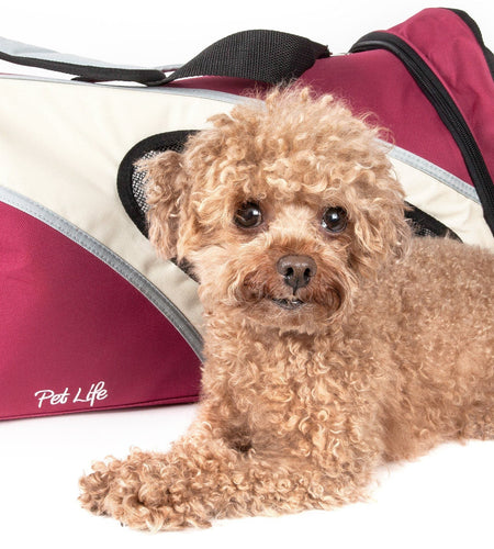 Pet Life ® 'Phenom-Air' Airline Approved Collapsible Fashion Designer Pet Dog Carrier